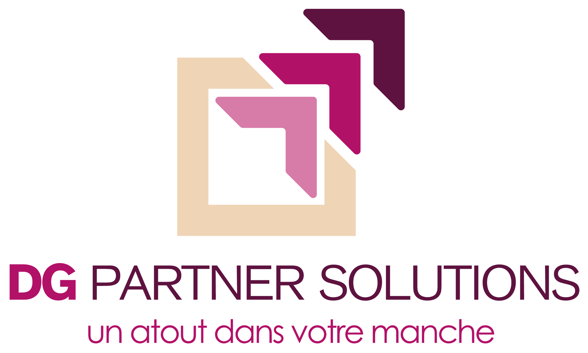 Logo officiel DG Partner Solutions : un atout dans votre manche